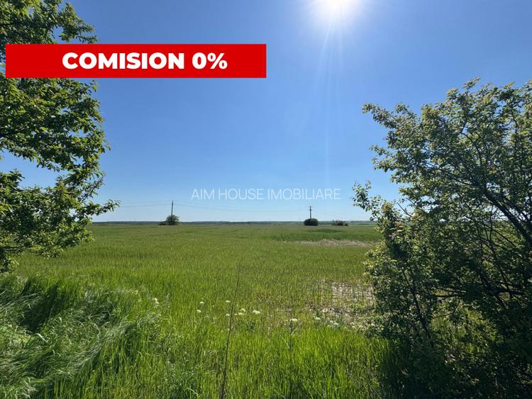 Teren agricol 12.500 mp | Deschidere directă DN61 | Dublu acces | Corbii Mari - 5
