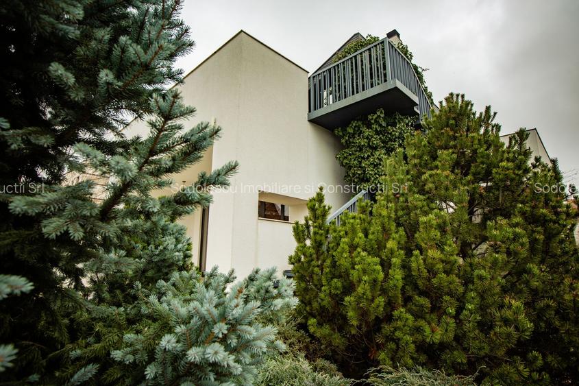 Vila deosebita Braytim - 31