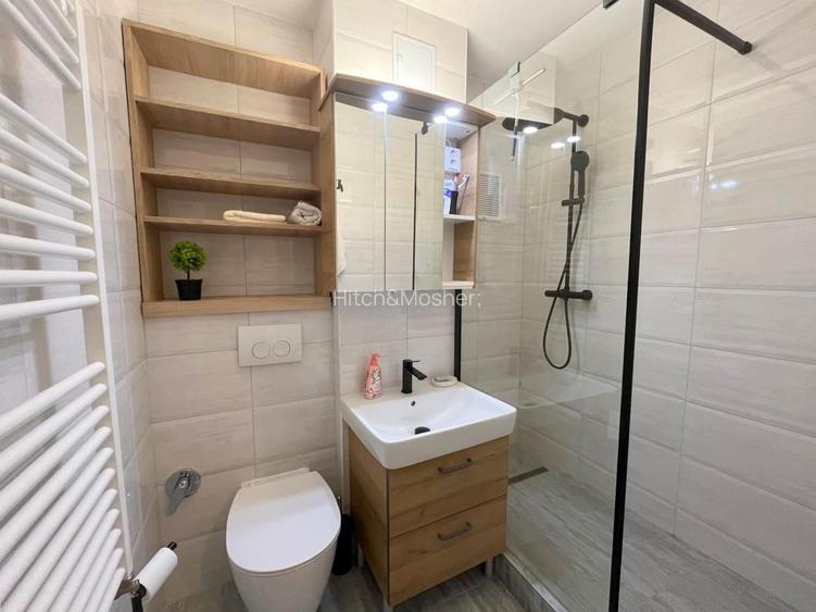 Apartament de inchiriat cu 3 camere langa Parcul Botanic - 12