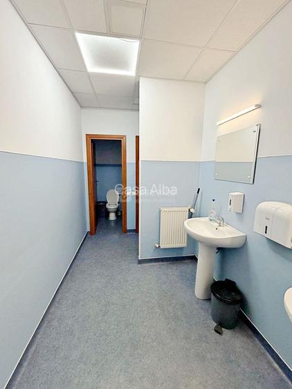 Pacurari - Metro, hala si birouri 1800mp, inchiriere expres - 4