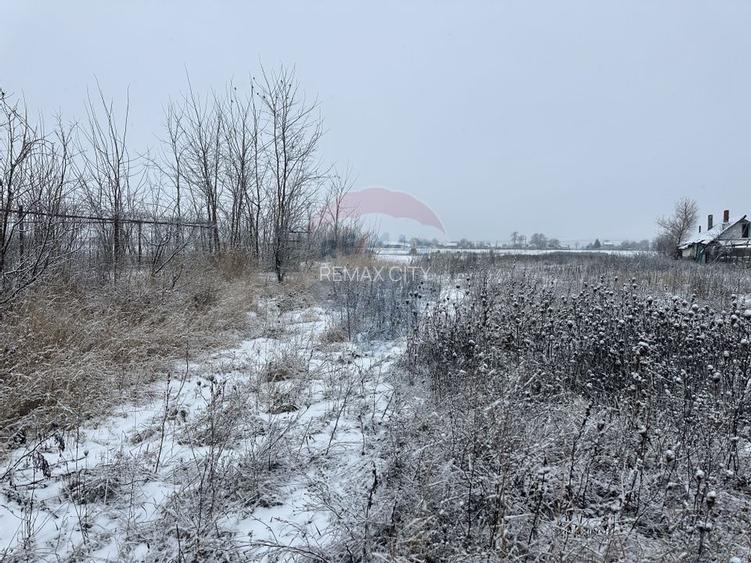 Teren 7,200mp Bodestii de Jos / Strada Bodesti - 4