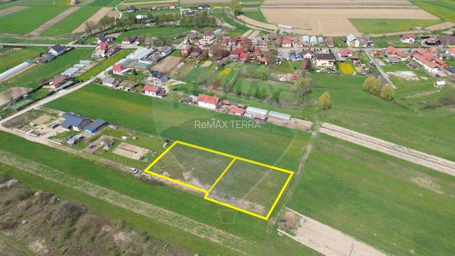 Teren de vânzare intravilan Cătălina - 3