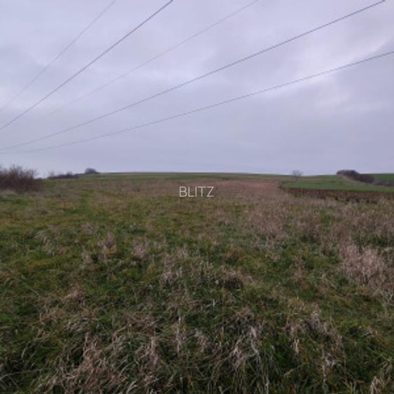 Teren extravilan, 4760 mp - zona Ghercesti  - 3