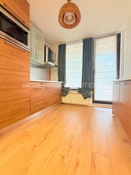 Studio spatios North Area Lake View -Herastrau - 7