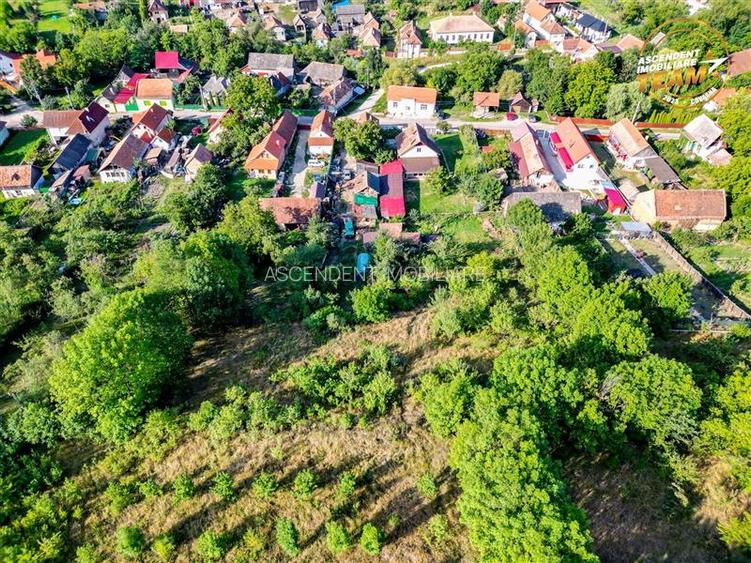 FILM!Areal apreciabil,casa+domeniu de 3.500mp,Sancraiu,vecin Sfantu Gheorghe si - 19