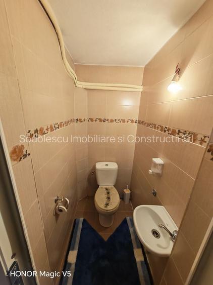 Casă cu destinație multiplă _ curte generoasă- Bălcescu - 14