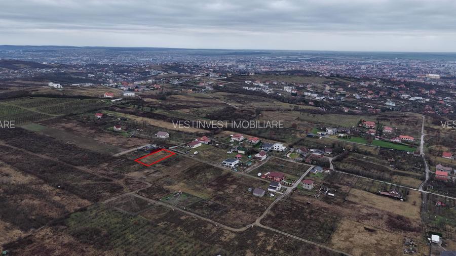 Teren Intravilan, Nicolae Beldiceanu - 2