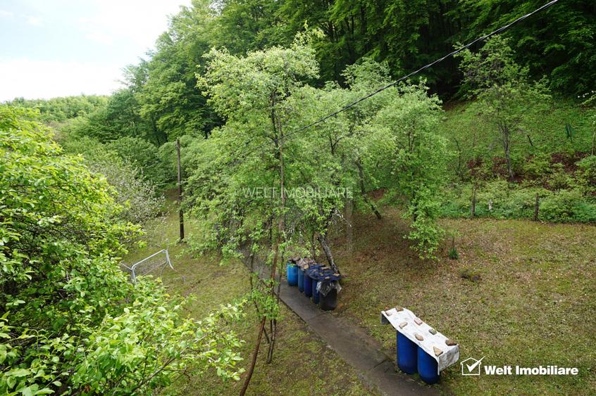Casă 2010 + teren 4891 mp cu PĂDURE și PÂRÂU | 15 km Cluj | Gaz+Apă+Curent+Canal - 15