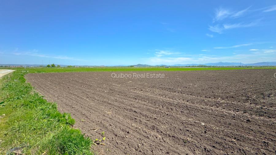 Teren intravilan, 1.7 hectare, Stupini Strada Barsei - 11