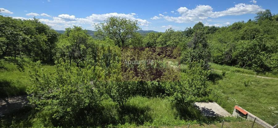 Vila de vanzare in Breaza-Nistoresti cu 7068 mp - 55