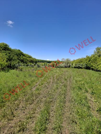 De vânzare teren intravilan de 30 000 m² (3 ha) în Reghin - 10