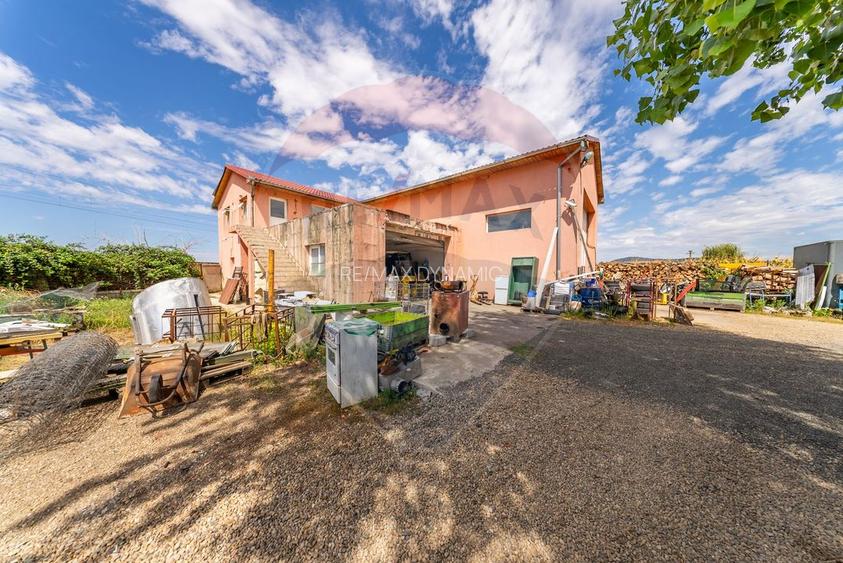 Spațiu industrial cu potential de vanzare in Paulis,Arad - 20