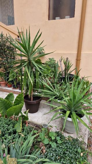 Apartament 2 camere ultracentral, complet renovat - 15