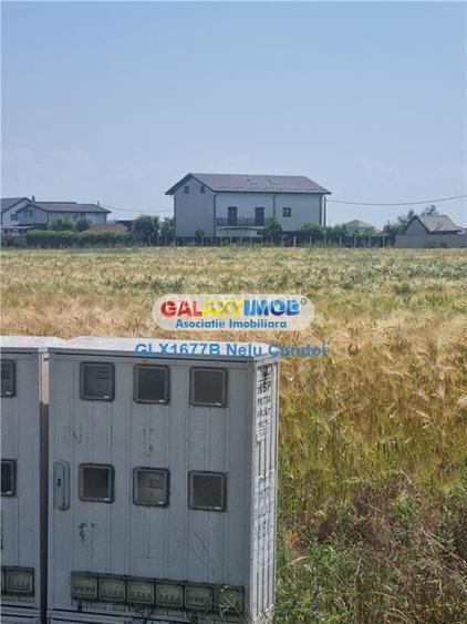VANZARE TEREN INTRAVILAN 10000 MP  COMUNA BERCENI - 5