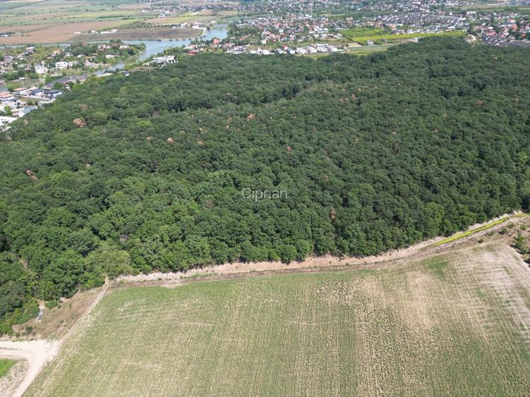 Teren intravilan langa padure Corbeanca Park - 2