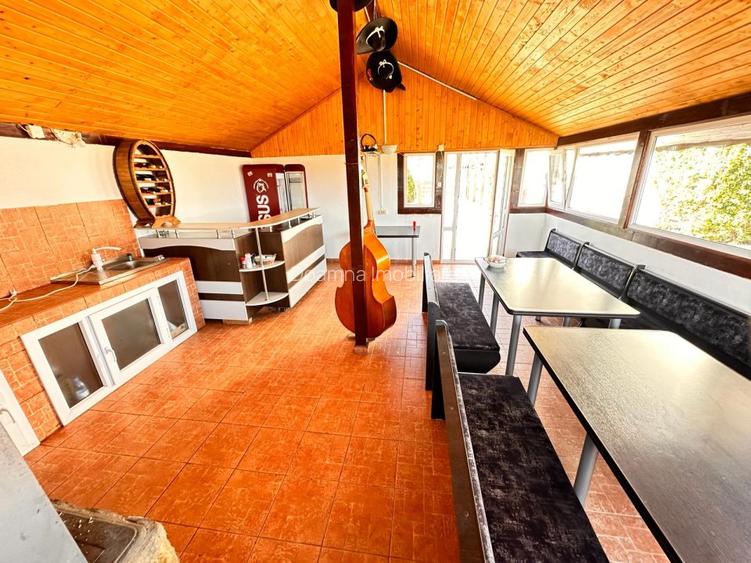 Domeniul de langa Fetesti, Maltezi, ideal pentru evenimente - 22