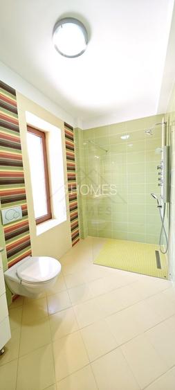 Casa mare. Posibil si clinica, camin batrani, invatamant, sediu firma. - 30