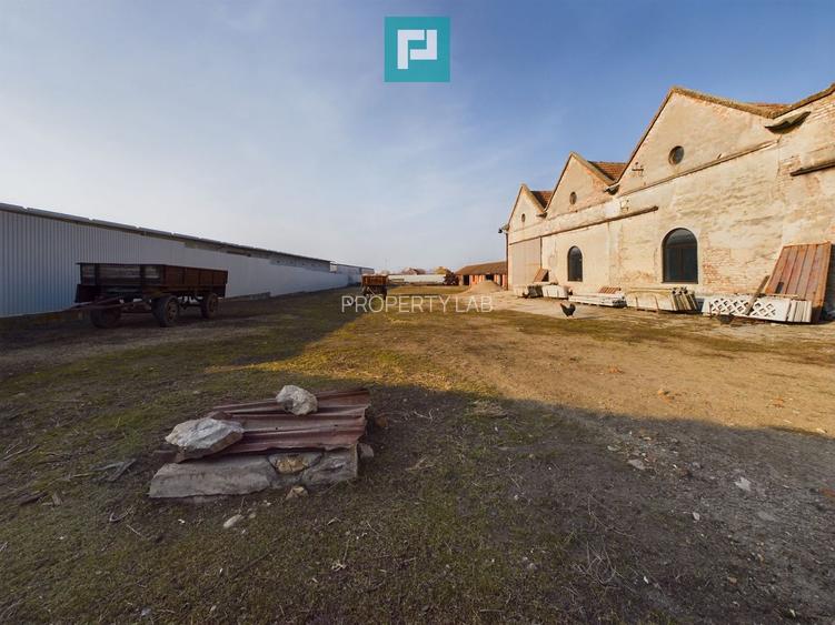 Teren și hale pe calea Aradului în Periam - 5