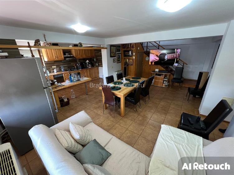 Casa de vacanta P+M,anexa de exploatatatie agricola - 3