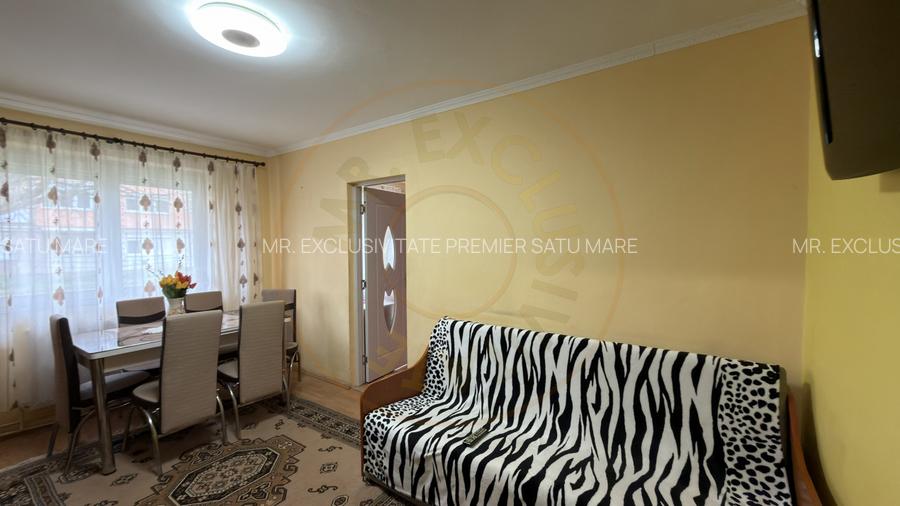 Apartament 2 camere Zona Penny Parter, Ignișului 26 - Carei - 7