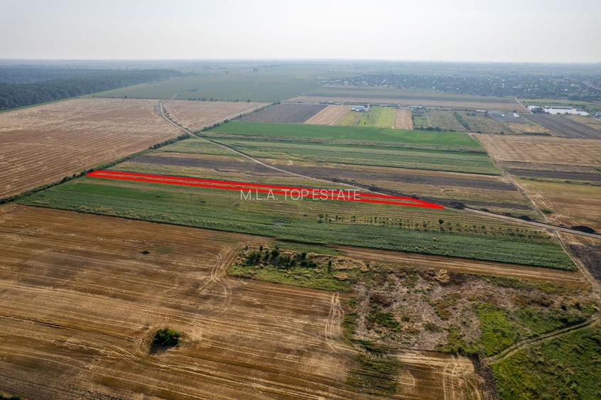 Teren 4.271 mp de vanzare  în Vladimirescu - 2