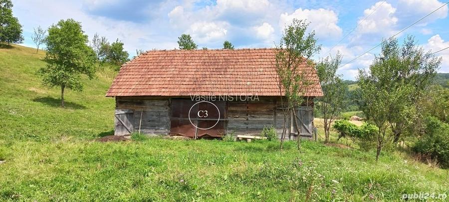 Vând proprietate (casă, șurā și 14368mp teren) în Valea Bradului, jud. Hunedoara - 7