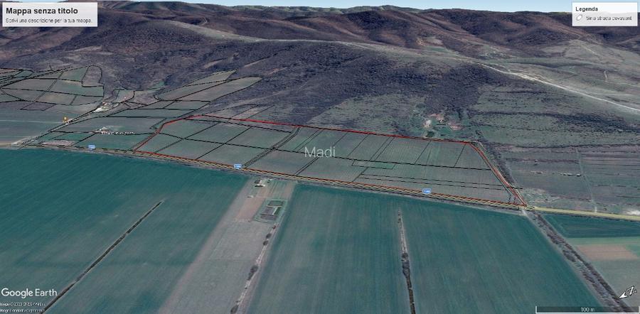 18,57 Hectare lot compact - Plantatie vita de vie pe rod, soi Pinot Noir - 4