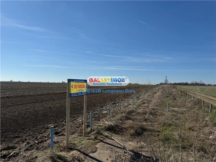 Teren intravilan 47.400 mp, Vama Veche, 200 m de Marea Neagra - 12