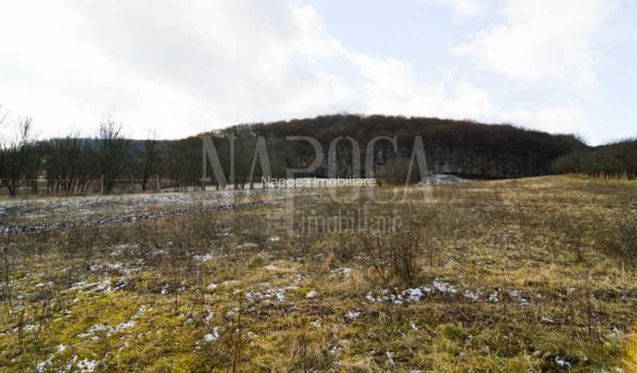 Teren extravilan pentru constructii de vanzare in Popesti - 3