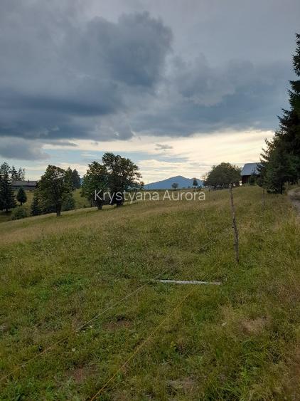 Teren intravilan 25 de arii, Piatra -Fantanele,1200€ pe arie - 4