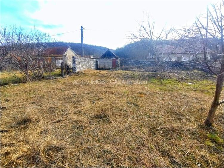 Ciclova, Casa cu Spatiu Comercial la Sosea, ZERO COMISION - 26