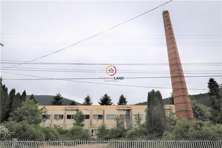 Oportunitate de investitie - 12