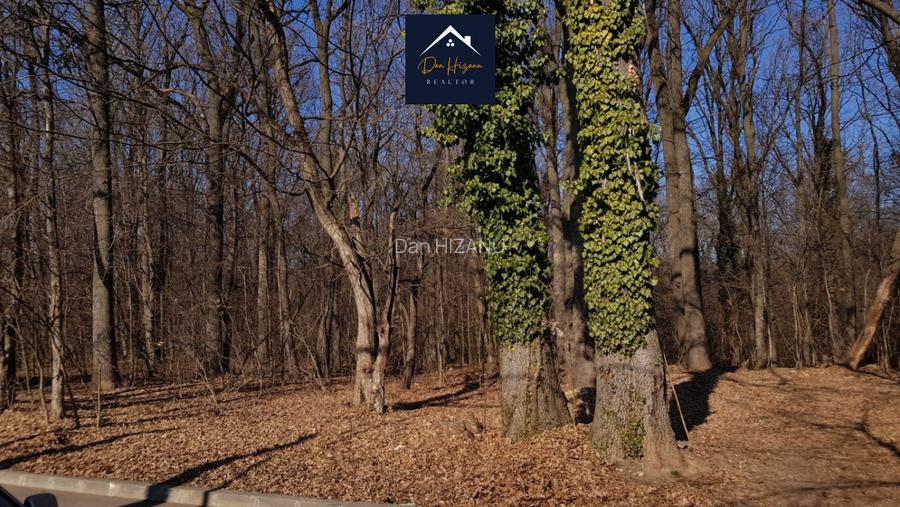 3 Ha Pădurea Băneasa ZOO - Pipera - Schimb sau RATE - 2