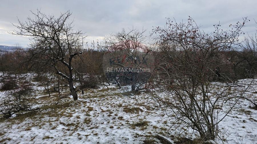 Teren 10,000mp Radaseni / Soseaua DN2-E85, judetul Suceava - 16