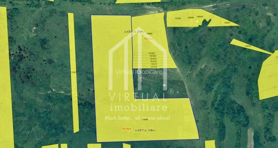 Teren de vanzare in Sibiu 67.500 mp, extravilan, Dealul Daii - 2