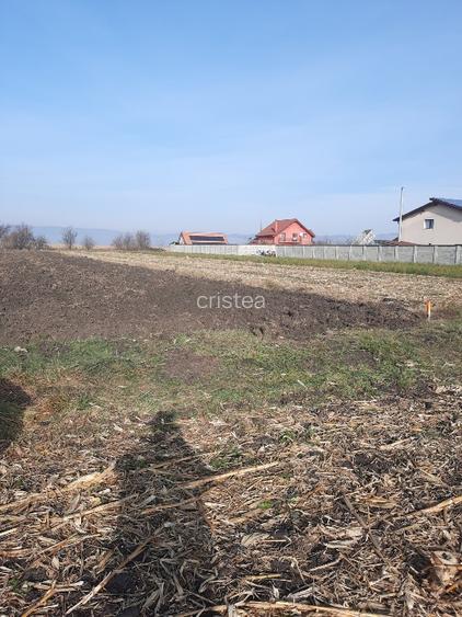 Vand 2500mp, teren extravilan arabil  - 2