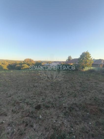 TEREN INTRAVILAN  PLOPU//3000 MP - 7