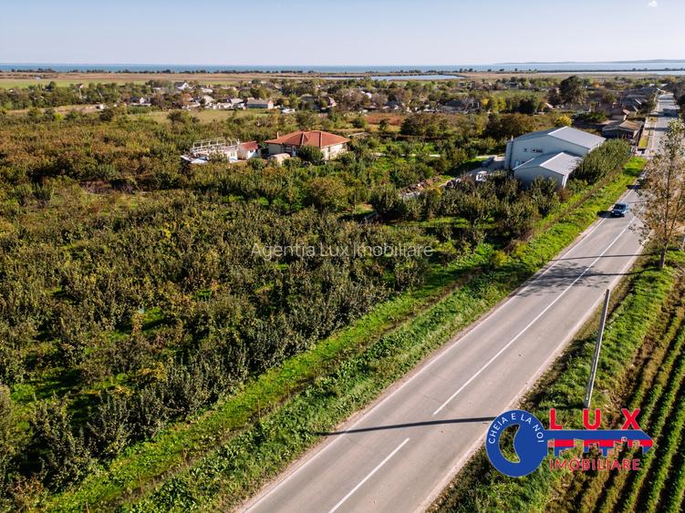 ID 7785 LIVADA SABANGIA DE VÂNZARE - 7