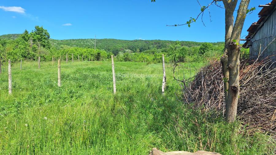 Casa de Vanzare Baiculesti Arges - 16