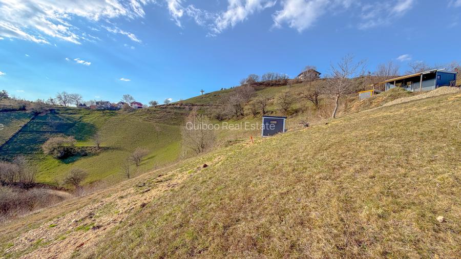 Refugiu de poveste în inima naturii | 12.000 mp în Holbav | Proiect început - 12