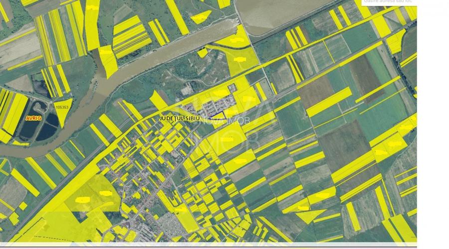 Teren  in suprafata de 4345 mp, Avrig - 4