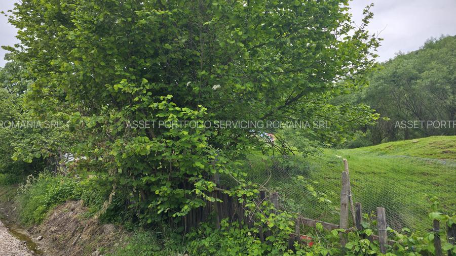 Teren intravilan 3.837 mp Cartier Bocșa Montană, Str. Izvor, Jud. CS - 7