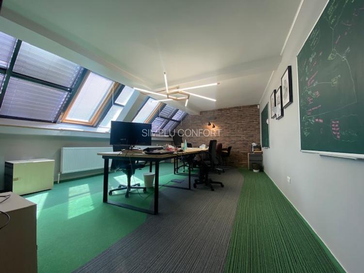 Cismigiu-Mircea Vulcanescu - 8