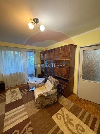Chirie Pet Friendly apartament 2 camere Caragiale - 3