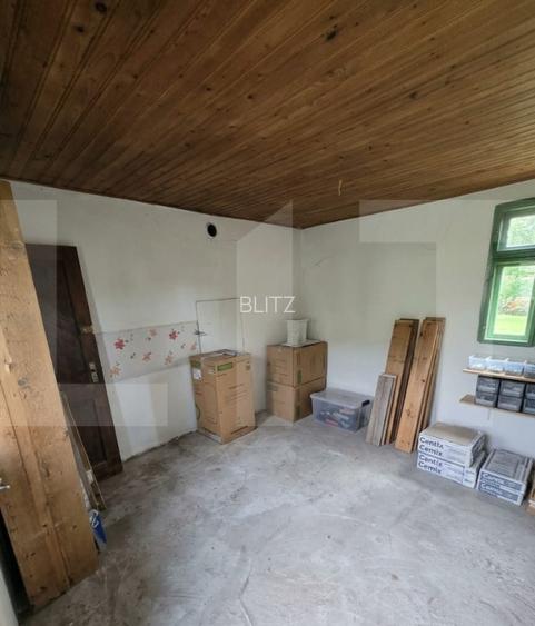 Casa individuala, teren intravilan 3409 mp, zona Dalnic. - 7