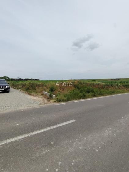 Vand teren Mariuta - Belciugatele-1000mp - Intravilan - 19€/mp-Direct Proprietar - 4