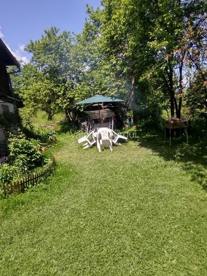Vand casa & teren, in suprafata de 8000 mp. Rel. la tel. 0741929870. - 2