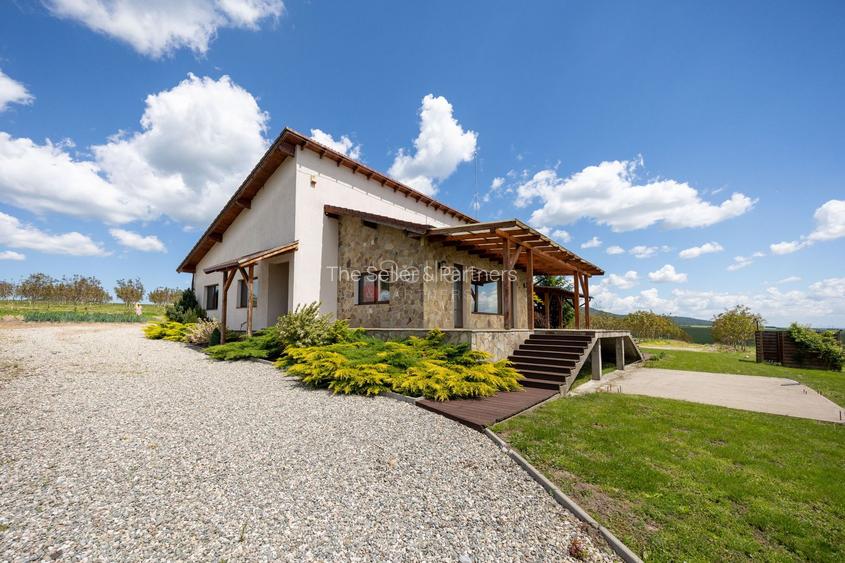 PROPRIETATE CU LIVADA MATURA DE NUCI SI POTENTIAL INVESTITIONAL - 28