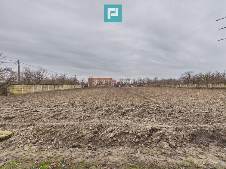 Casă cu 3 camere și teren de 1400 mp în Mișca - 12