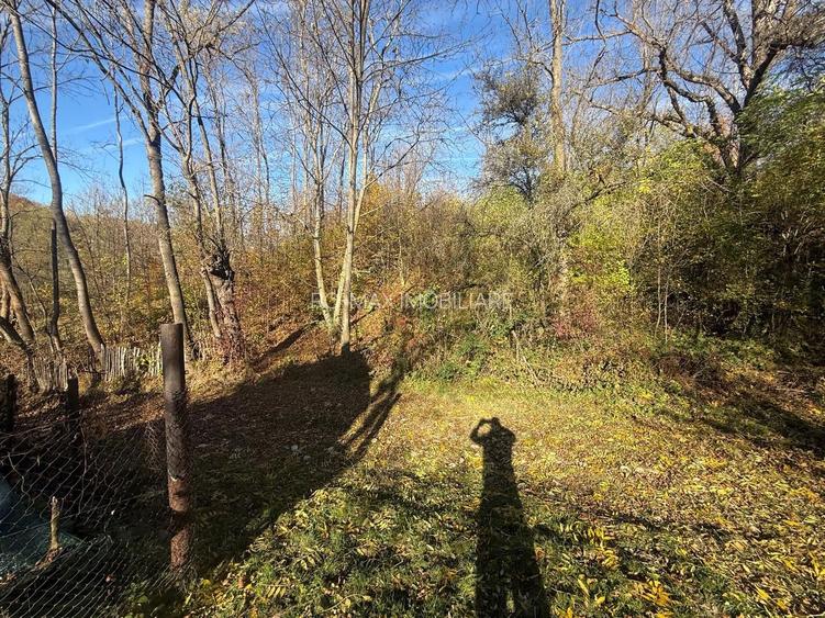 Teren langa pădure 6400mp+casa demolabila-deschidere 35 ml - 4